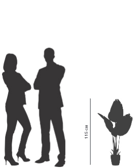 Plantes artificielles