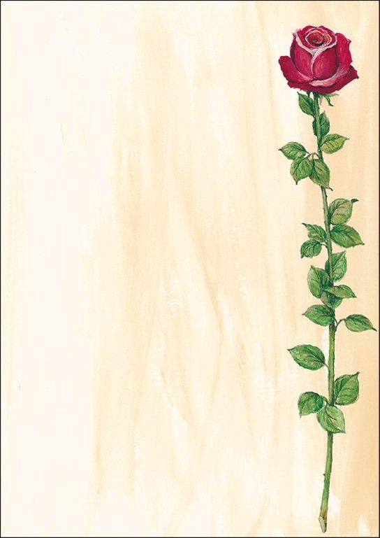 sigel Papier à motif, A4, 90 g/m2, motif 'Rose Bloom'