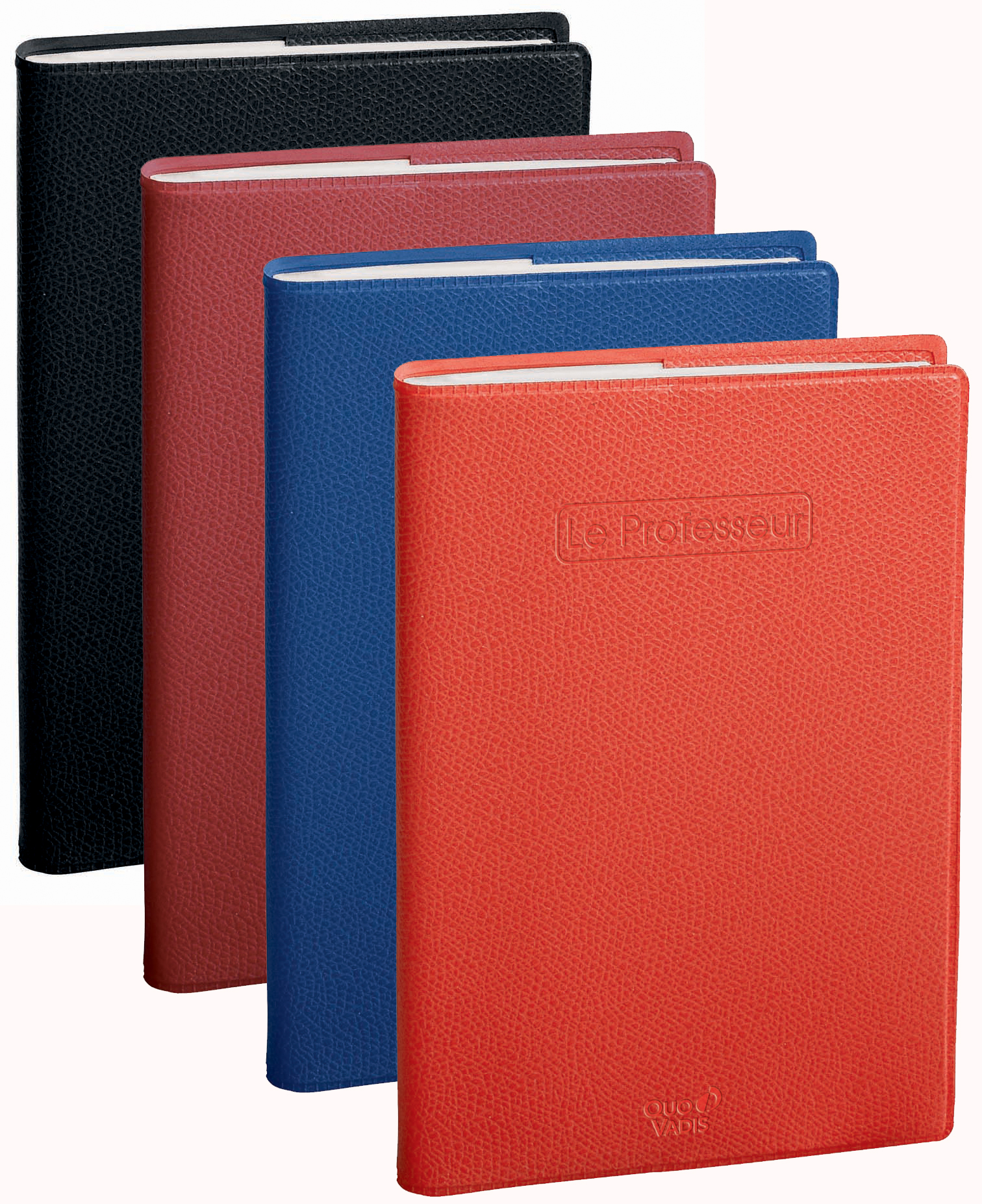 Agenda scolaire "Le Professeur" - assorti
