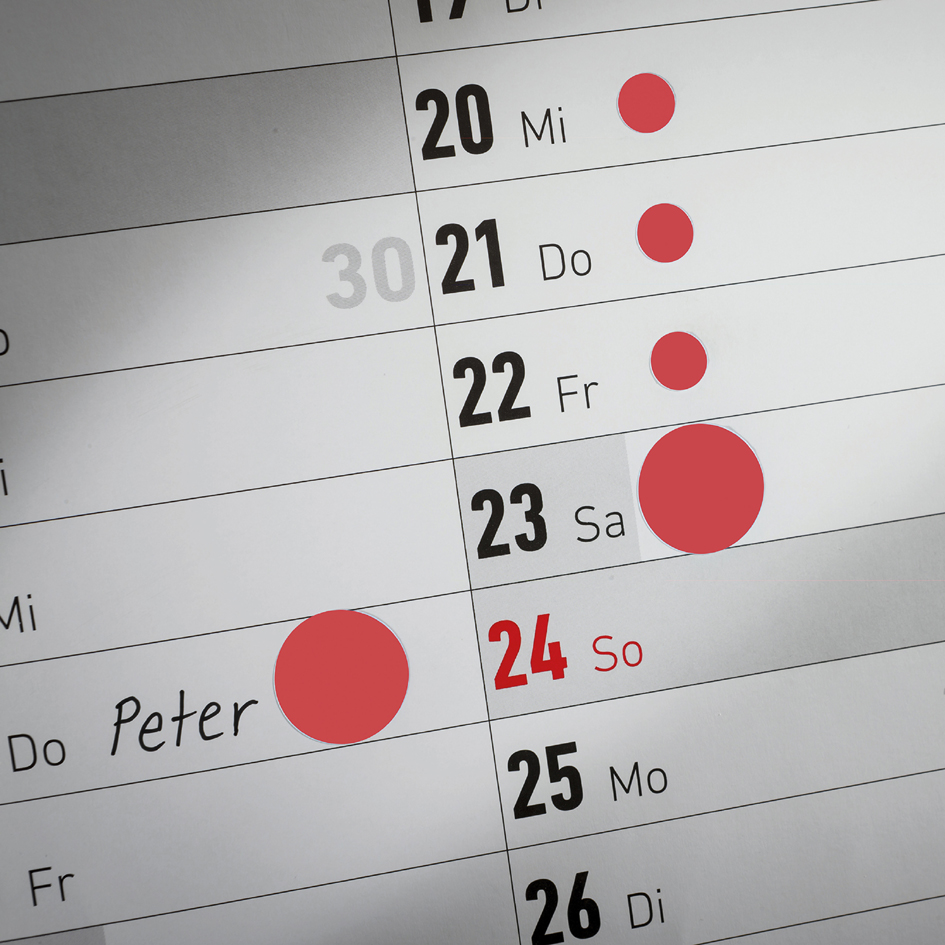 Visuel de référence: Montre le produit en utilisation
