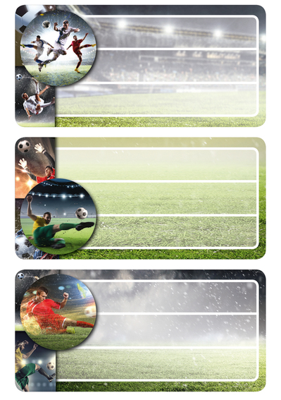 HERMA Etiquettes pour livres 'football', scintillant