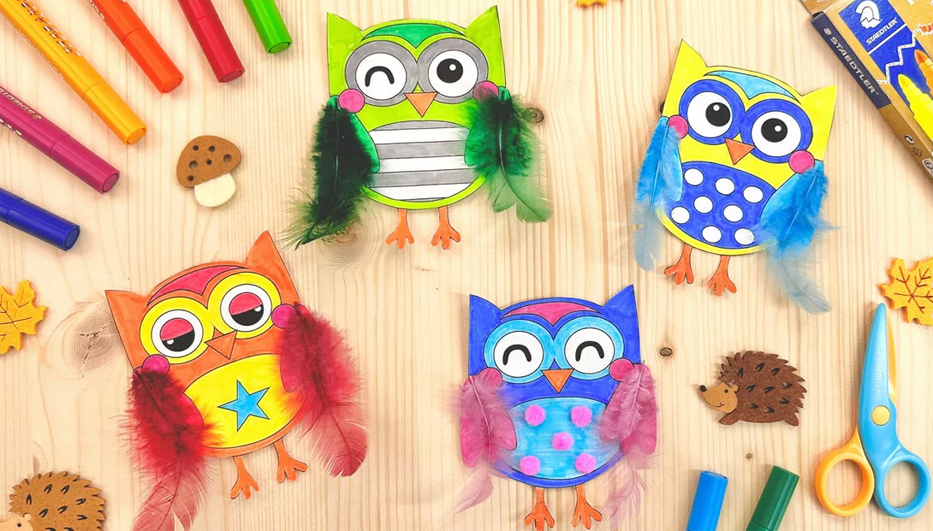 Conseil créatif : hiboux multicolores