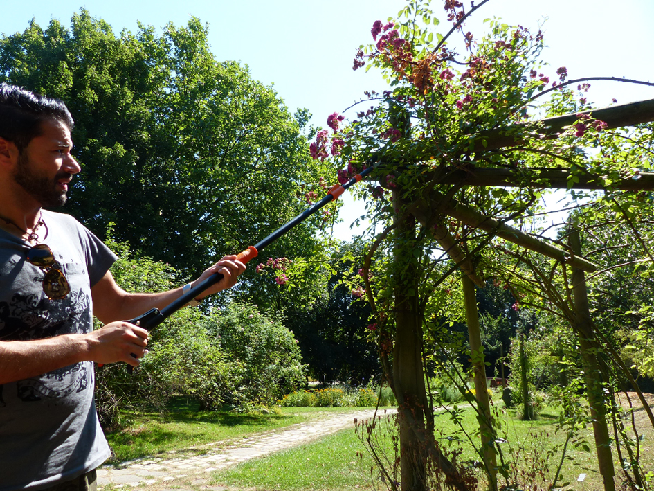 Visuel de référence : montre le produit en utilisation