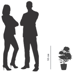 Plantes artificielles