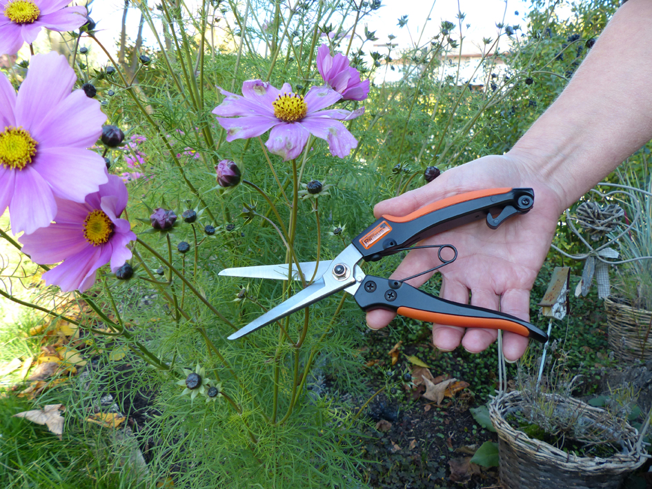 Garten PRIMUS Ciseaux à plantes vivaces & à herbes