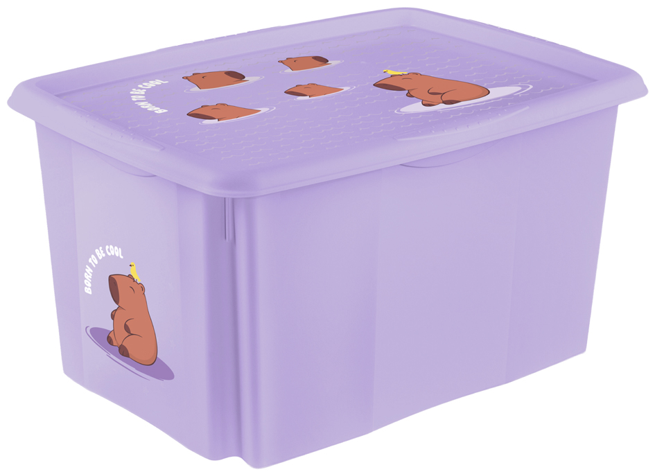 Boîtes de rangement