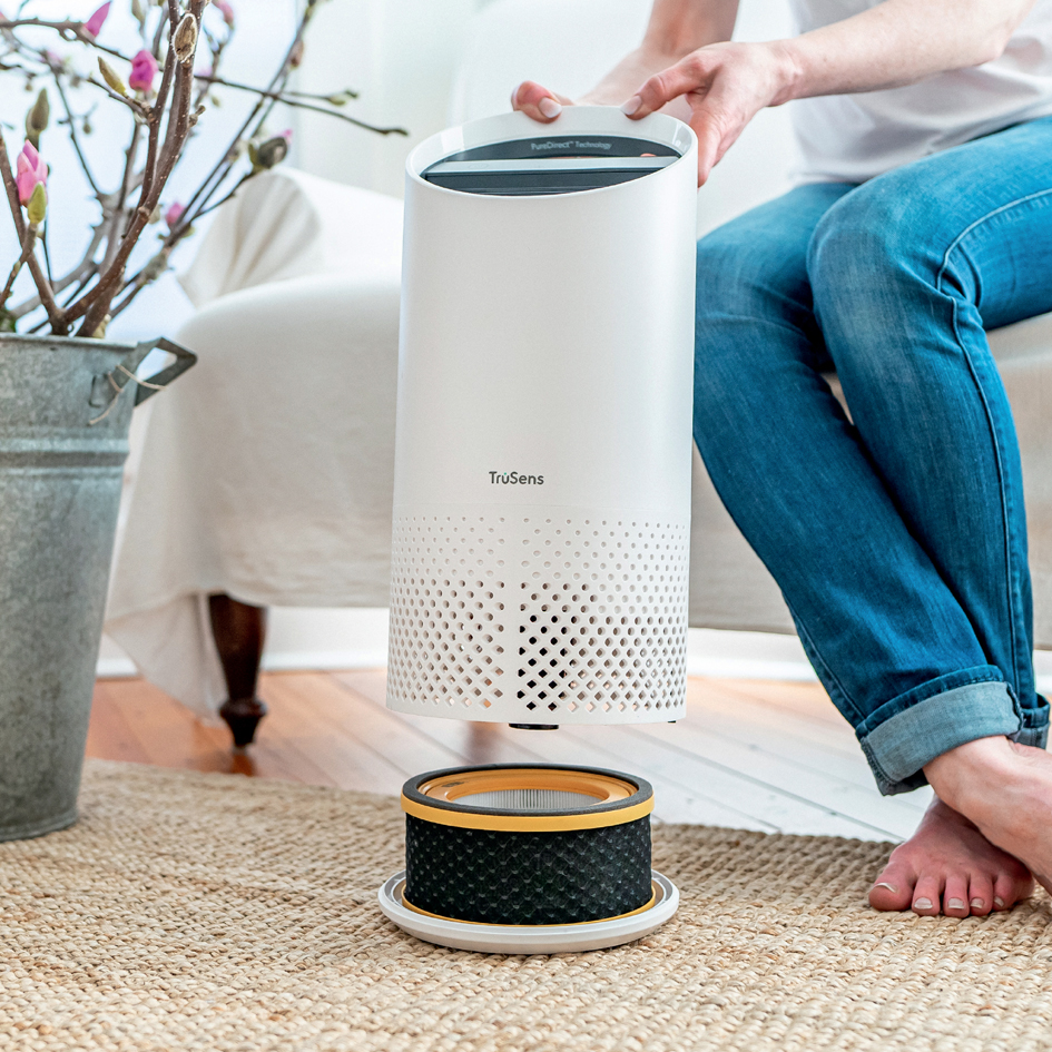LEITZ Filtre à charbon actif anti-odeur pour purificateur