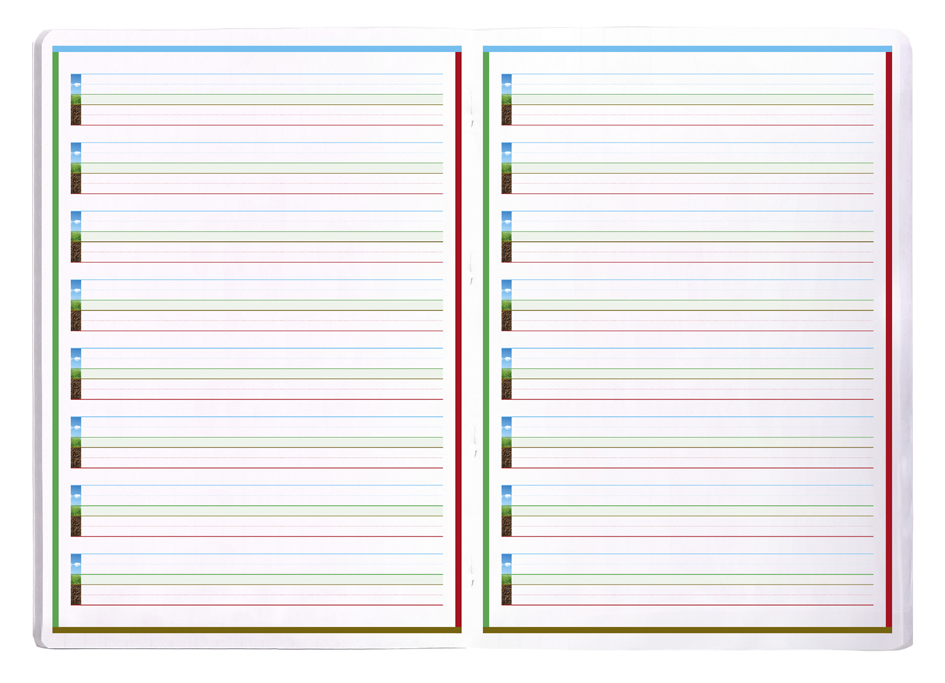 Visuel de référence: réglure 4 couleurs 5 mm