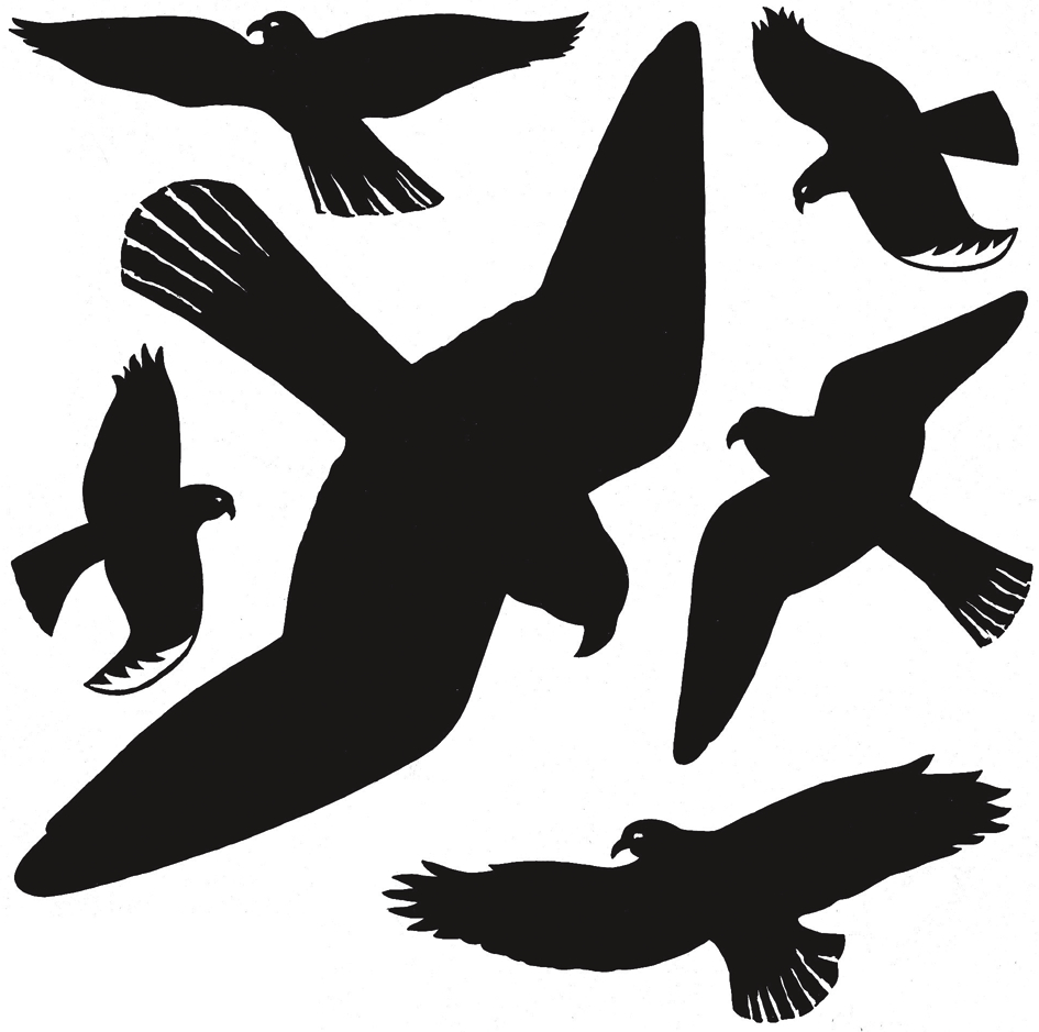 Silhouettes de rapaces