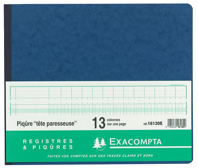 EXACOMPTA Piqûre tête paresseuse, 17 colonnes sur 2 pages,