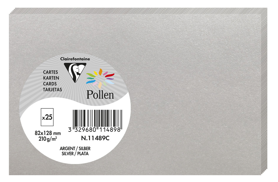 Pollen by Clairefontaine Carte 82 x 128 mm, argent