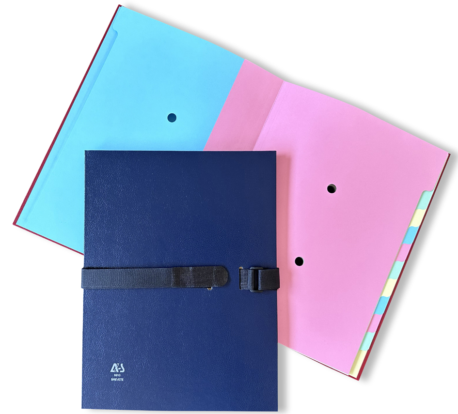 Arianex by extendos Trieur SANGLEX, 12 compartiments, bleu