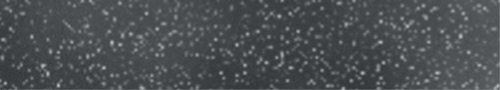 noir scintillant