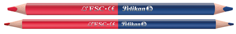 Crayons de couleur bicolores