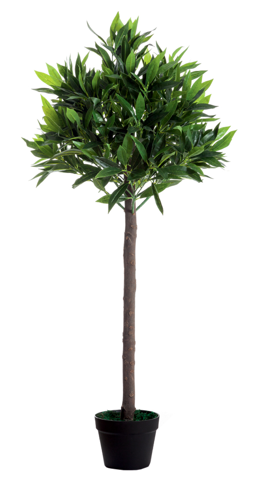 Plantes artificielles