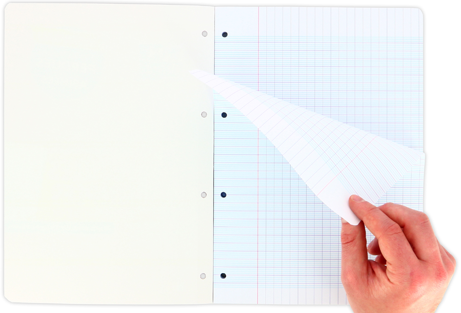 Vue détaillée: feuilles facilement détachables