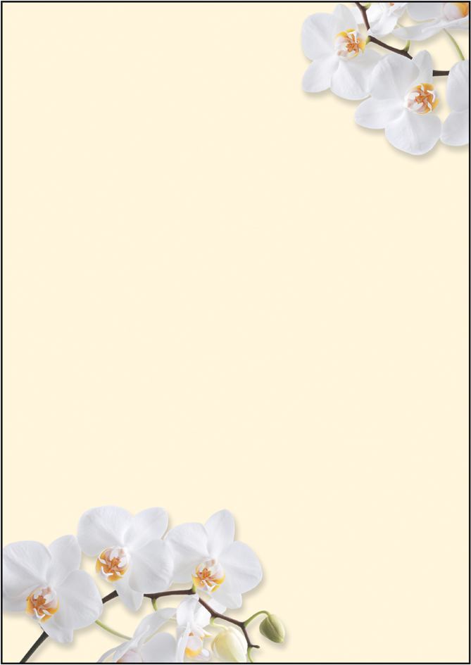 sigel Papier à motif, A4, 90 g/m2, motif 'White Orchid'