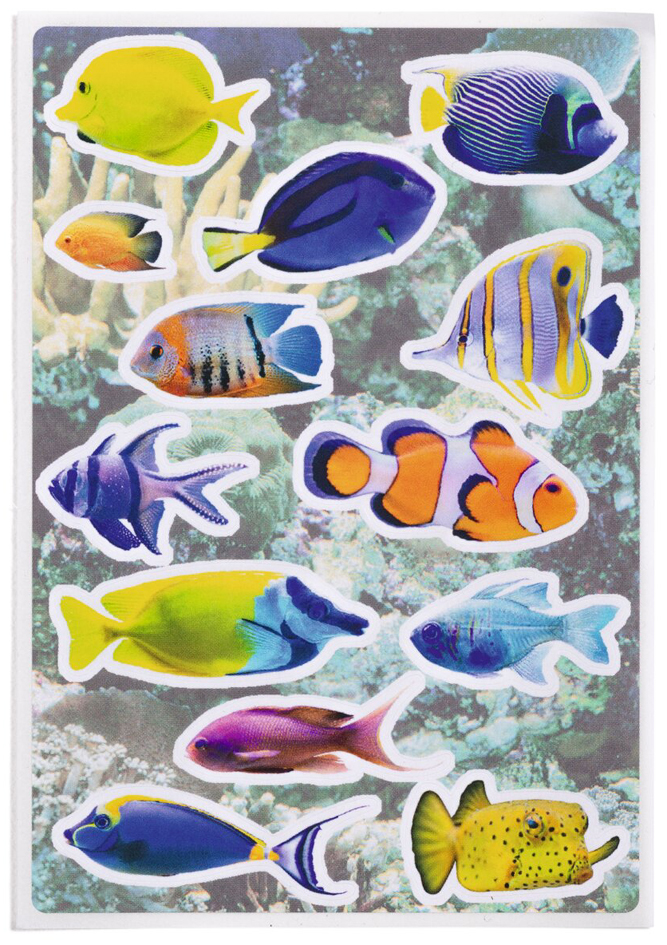 Poissons