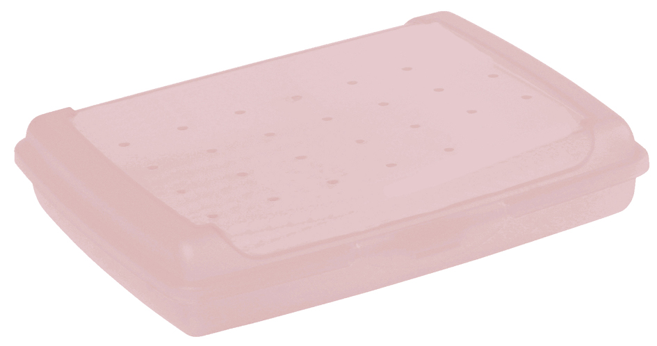 keeeper Boîte à goûter 'luca' Click-Box, mini, nordic-pink