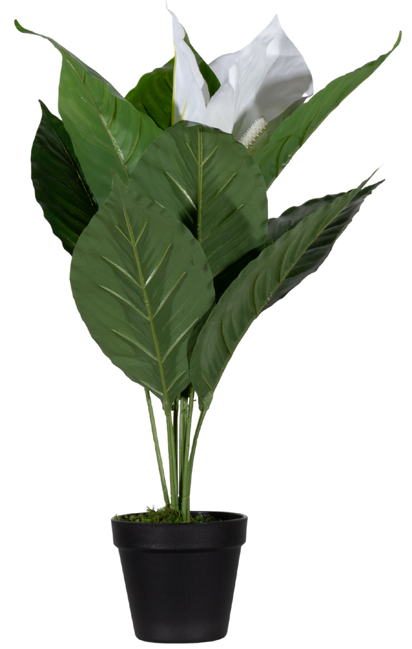 Plantes artificielles