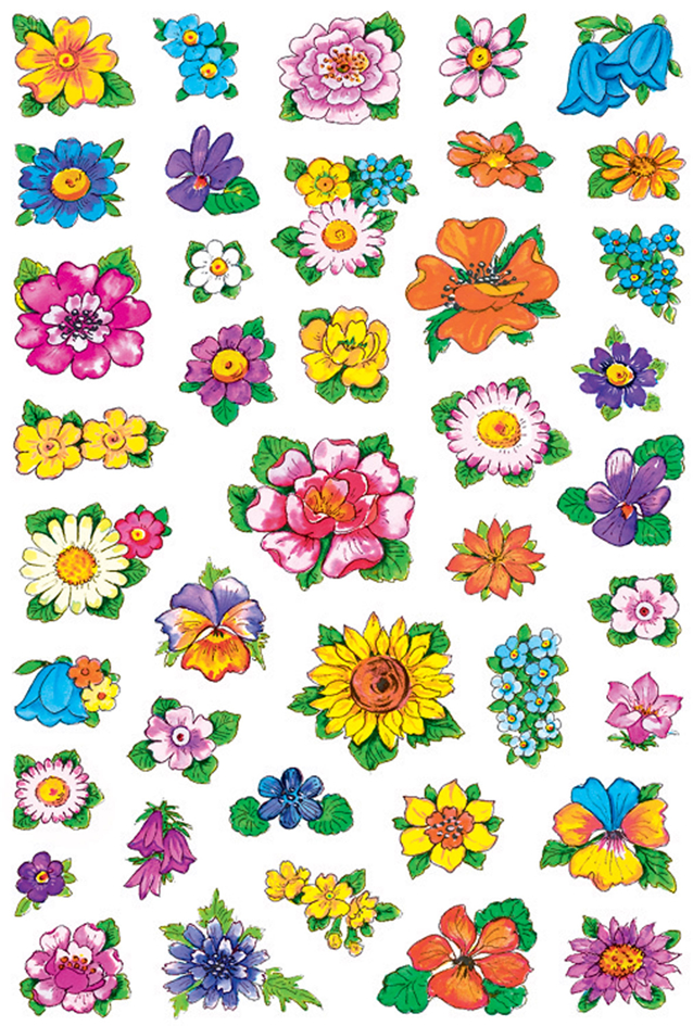 (1) Petites fleurs