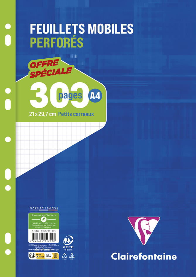 Feuillets mobiles perforés, A4, 300 pages - quadrillé