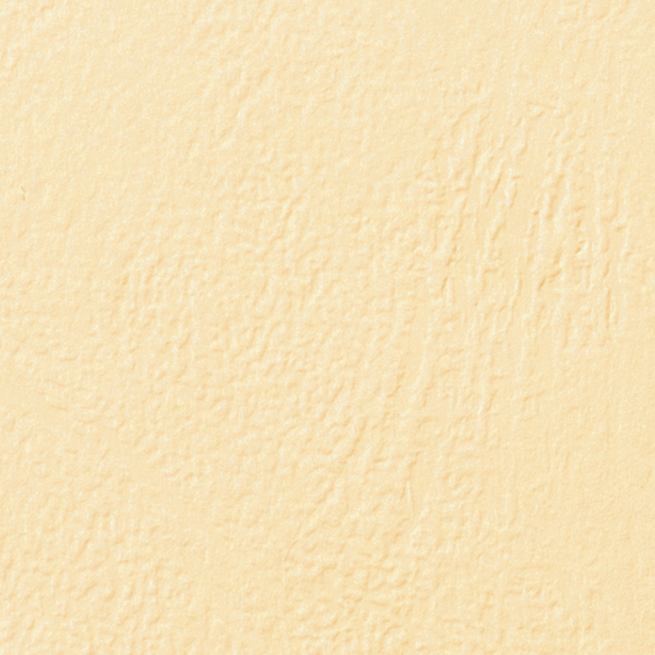 GBC Couverture de reliure grain cuir, A4, 250 g/m2, ivoire