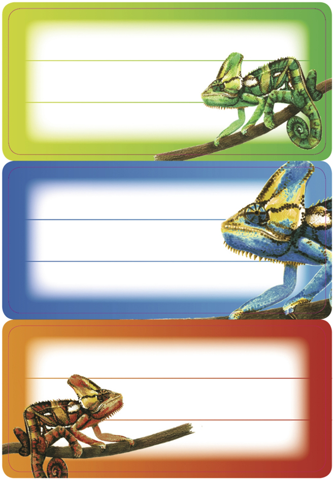 HERMA Étiquette pour livre 'Caméléon', 76 x 35 mm