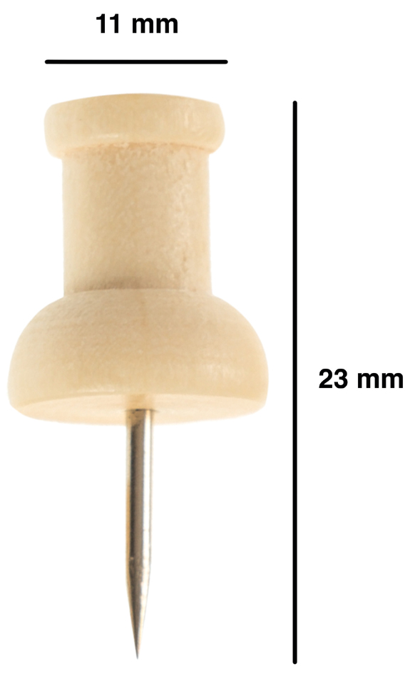 Bi-Office Epingles en bois pour tableau d'affichage, en pin longueur: 23 mm 20 naturel