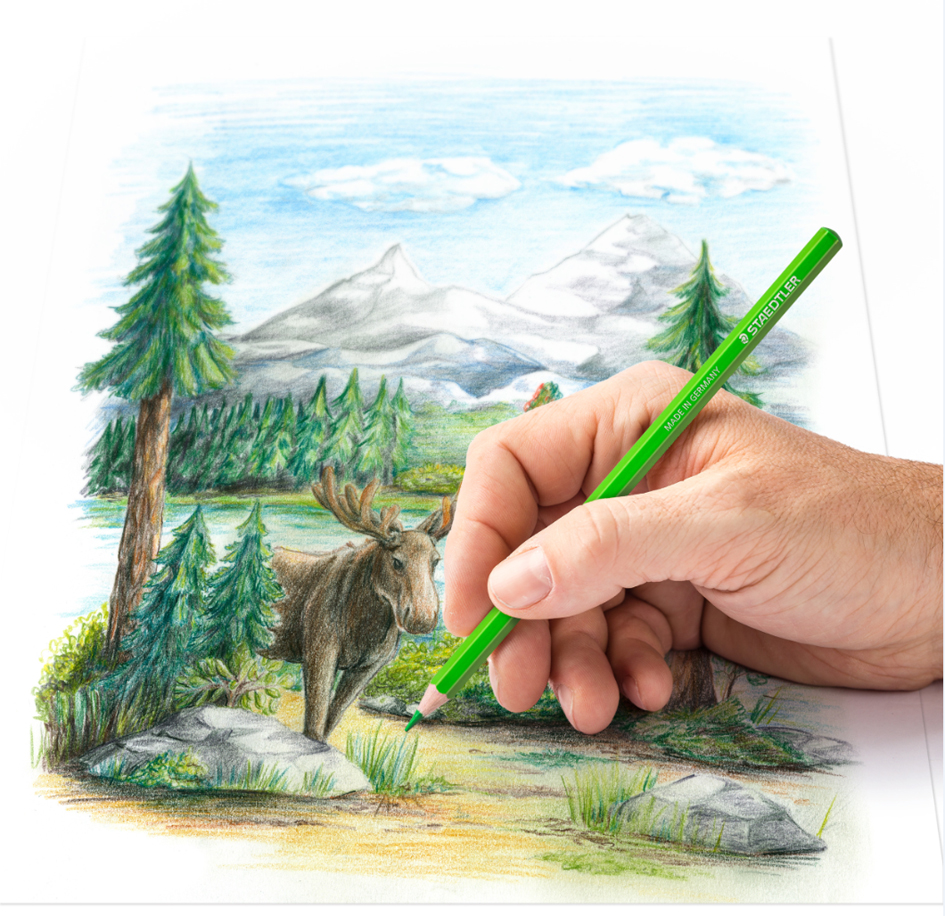 Crayons de couleurs d'artistes