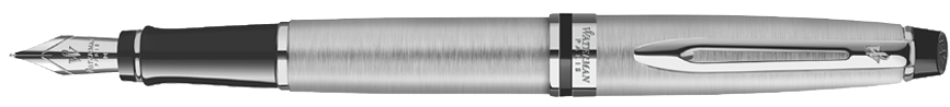 WATERMAN Stylo plume Expert, Metallic C.T.