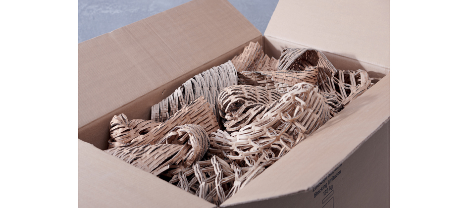 Destructeurs de cartons