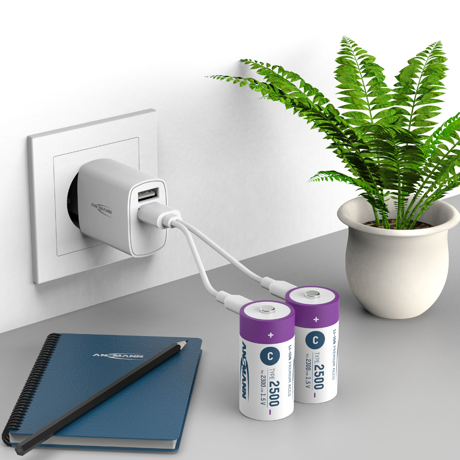 Batteries, Li-Ion