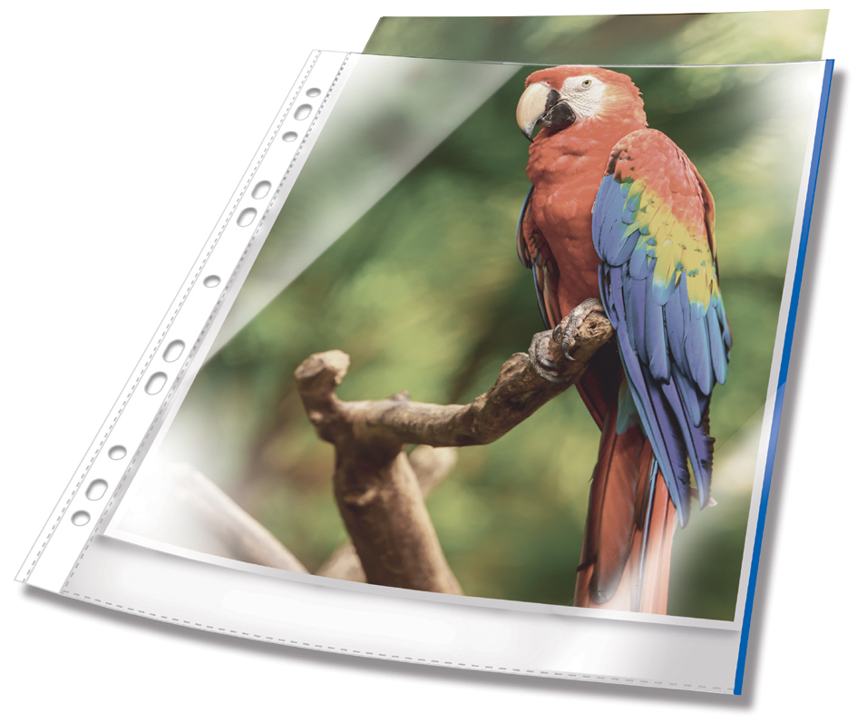 DURABLE Pochette perforée PREMIUM, A4, PP, bord bleu