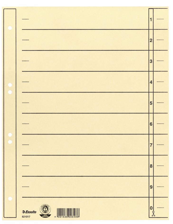 Esselte Intercalaires carton, A4 extra large, chamois