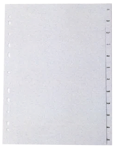 Intercalaires plastique, mensuel