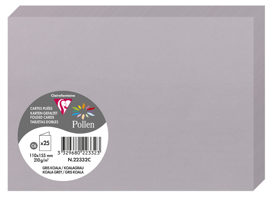 Pollen by Clairefontaine Carte double C6, gris koala
