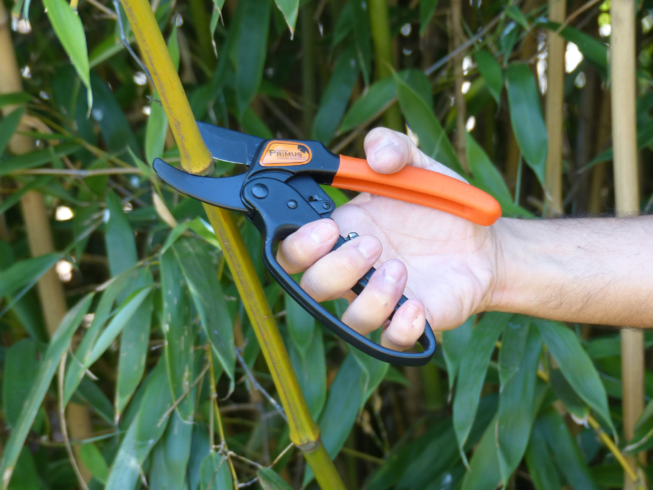 Garten PRIMUS Lame de rechange pour sécateur à crémaillère