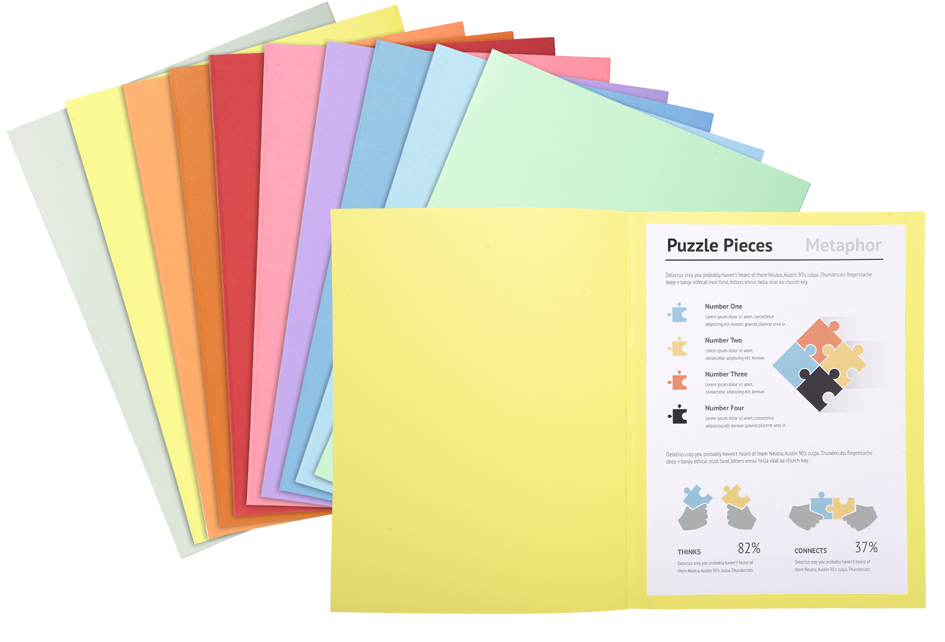 EXACOMPTA Chemises SUPER 250, A4, assorti