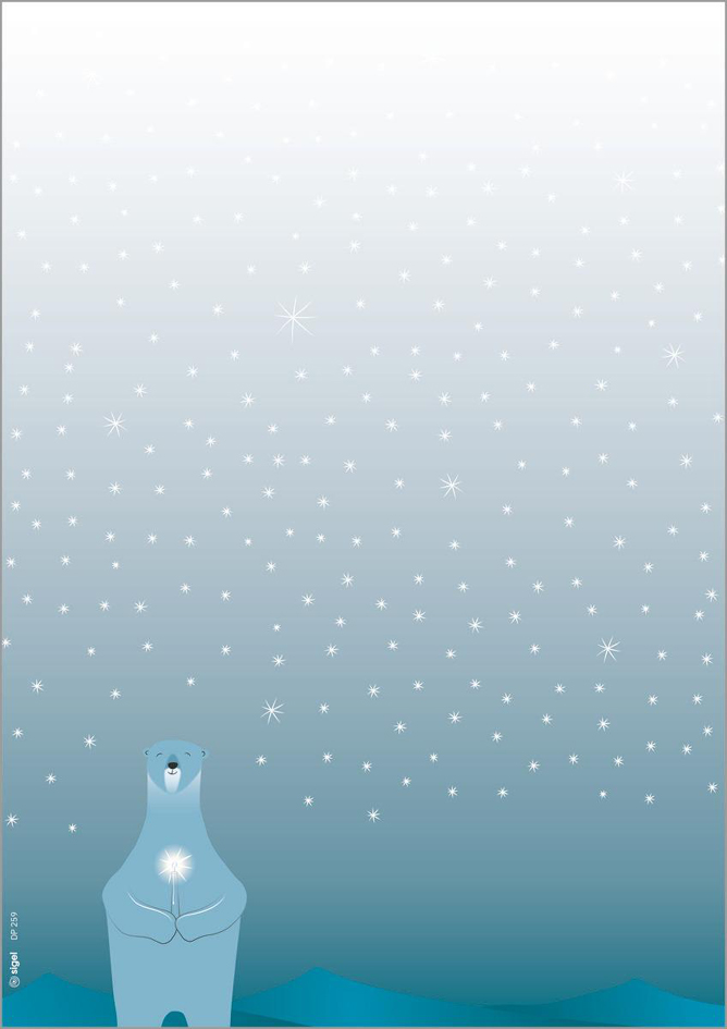 "Polar bear with candle"