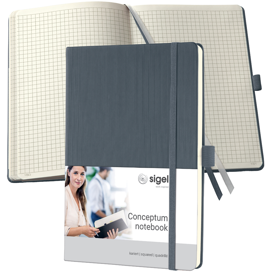 Visuel de référence: Carnet de notes Conceptum, gris