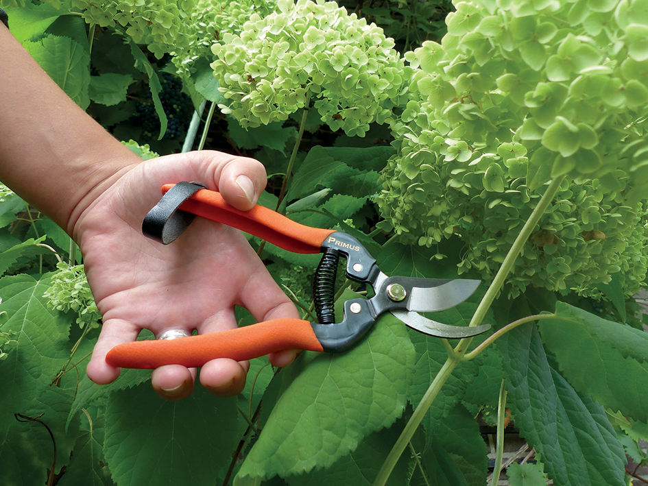 Garten PRIMUS Ressort de rechange pour sécateur spécial rose