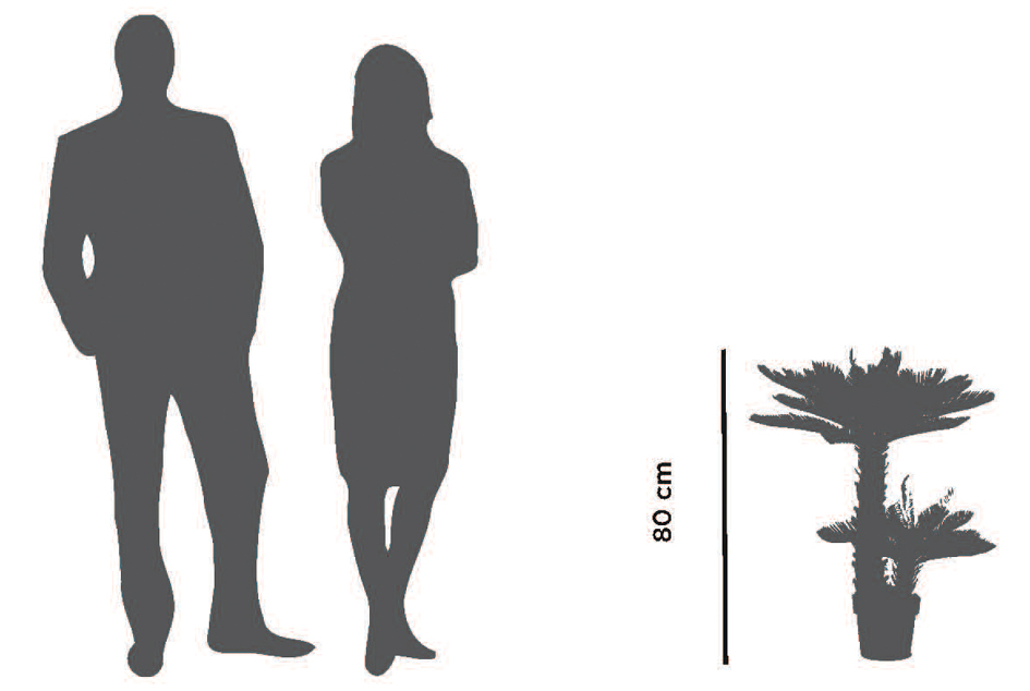 Plantes artificielles