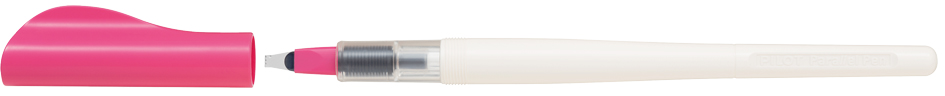 Stylos plume calligraphie