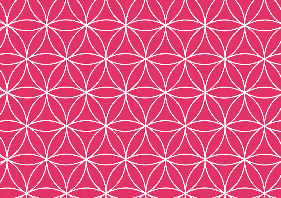 SUSY CARD Papier cadeau 'Fleurs de vie rouges', sur rouleau