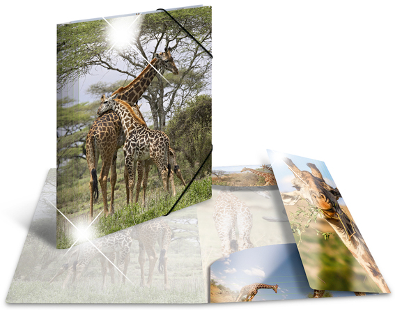 HERMA Chemise à élastiques 'girafe', PP Glossy, A3