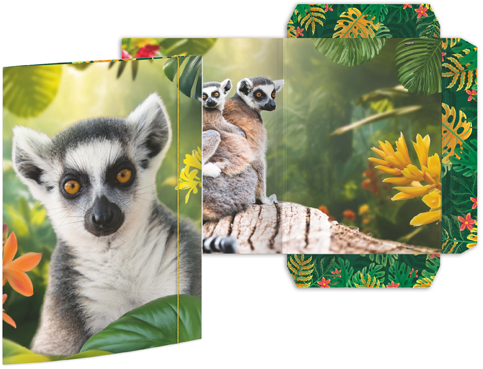 RNK Verlag Carton à dessin 'Ours', A3 carton A3 motif animalier