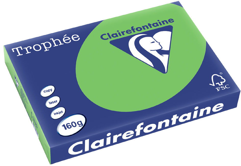 Clairefontaine Papier universel Trophée, A3, gris