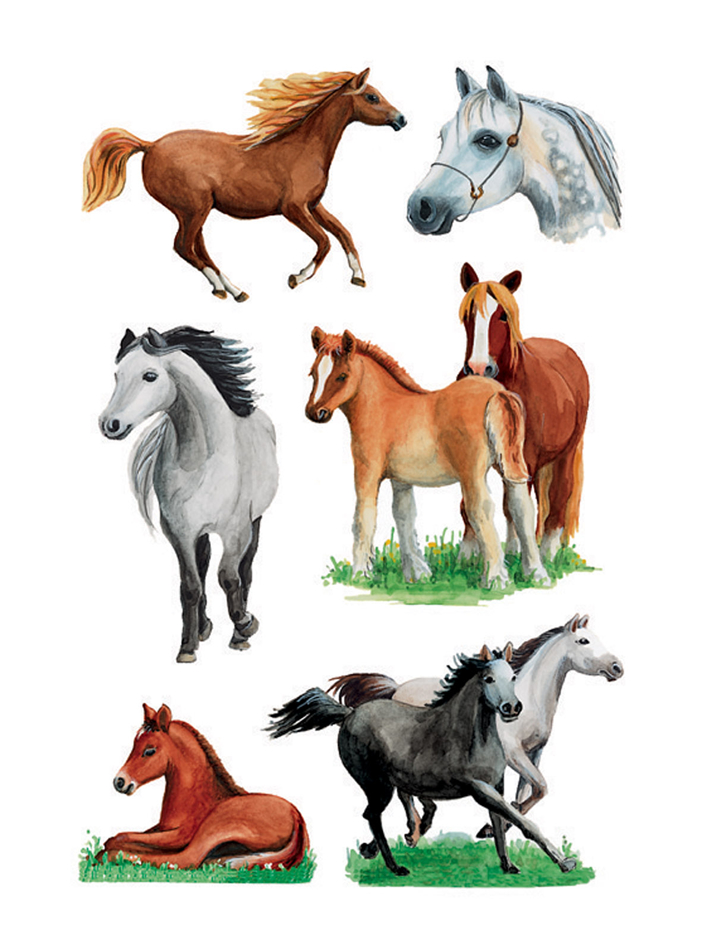 HERMA Sticker DECOR 'Races de chevaux'