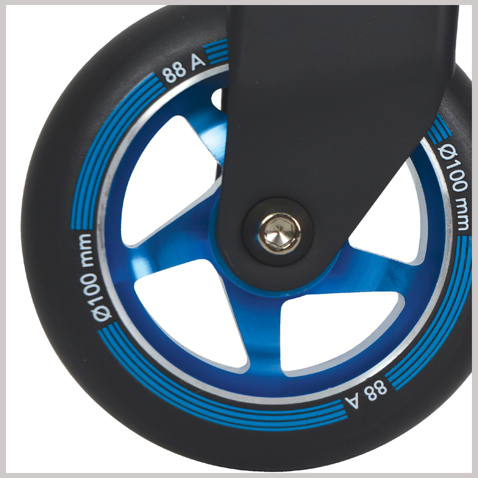 Détail: Roue de 100 mm en PU